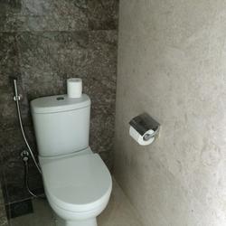 The Hillier (D23), Apartment #154810702